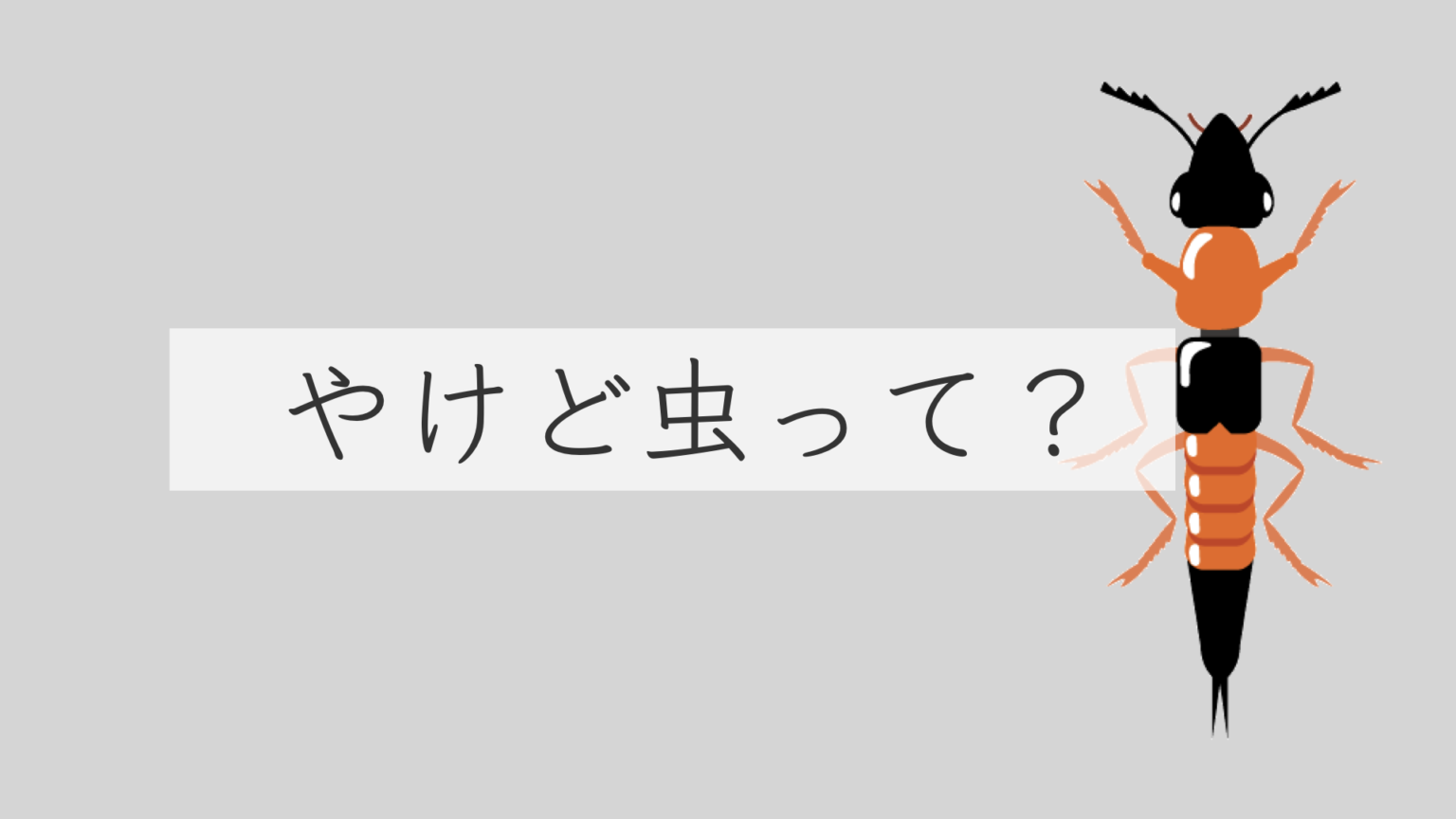 【虫刺され】『ダニ』に刺されたらどうすればいい?症状と具体的な対策を現役皮膚科医がわかりやすく解説【イエダニ、マダニ、跡を残さない】 | 皮膚 ...