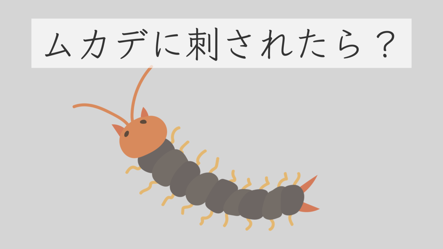 【手汗対策】手汗 を止める方法、手汗多汗症 の原因・治療・おすすめの薬 2選を皮膚科医が解説 | 医療法人義恵会 公式サイト