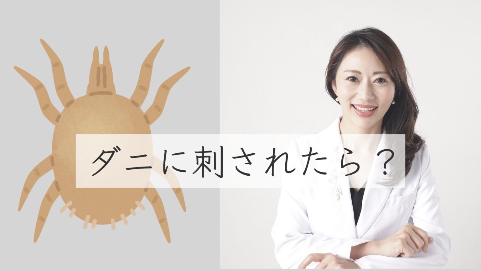 猫に刺されたらどうなる | 猫の虫刺されの見分け方と症状・治療・予防方法ガイド – OCBS